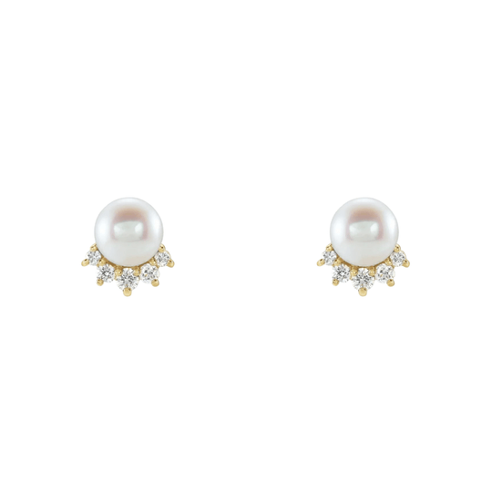 The CONTESSA Stud Earrings