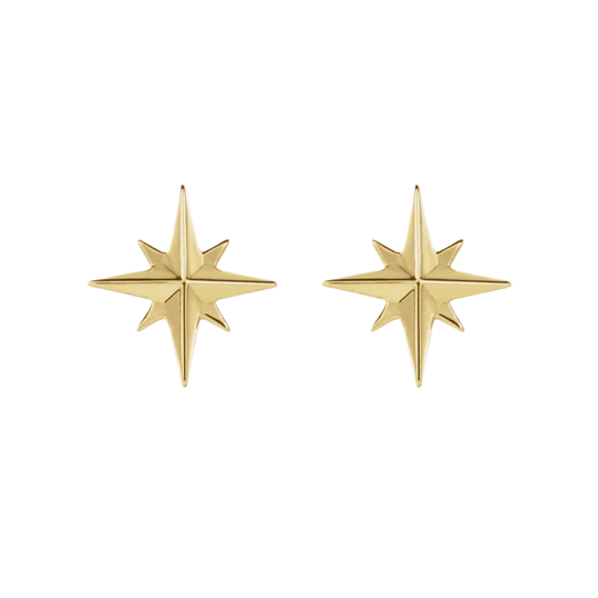 The NORTH Earrings