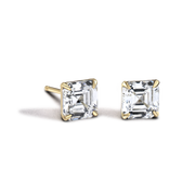 The Abrie Stud Earrings