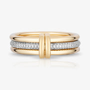 The Daryl Ring