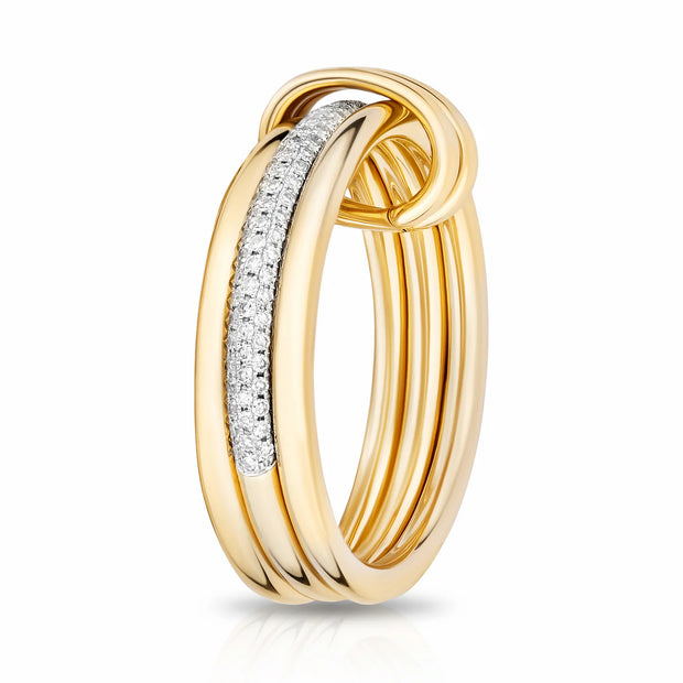 The Daryl Ring