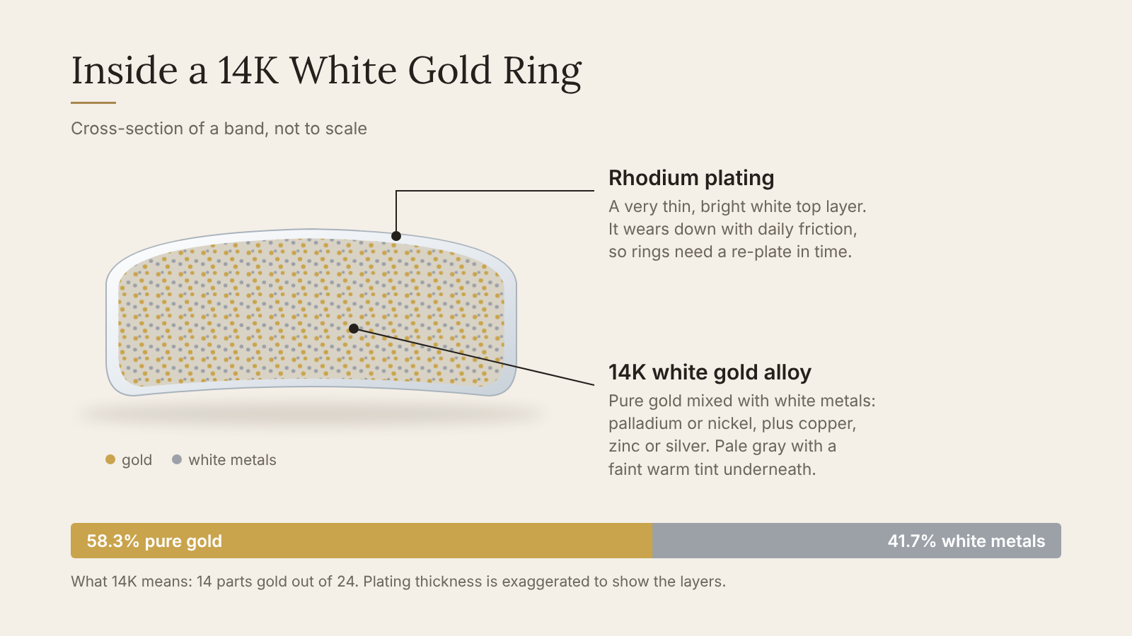 Cross-section of a 14K white gold ring showing rhodium plating over the gold alloy