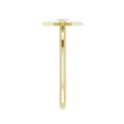 The ESME Ring