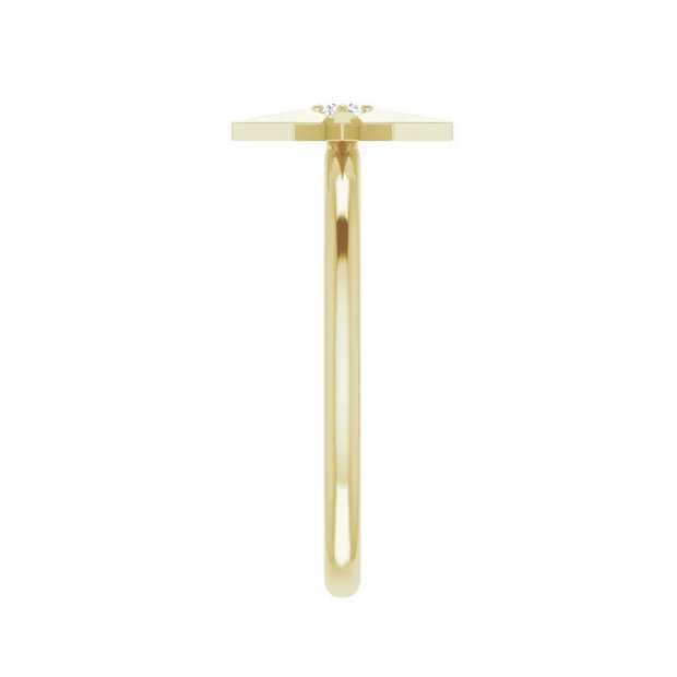 The ESME Ring