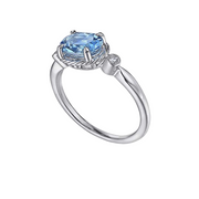 The ALEJA Ring