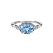 The ALEJA Ring