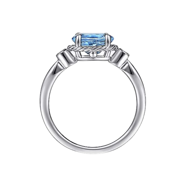 The ALEJA Ring