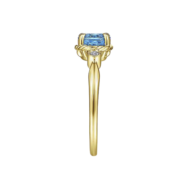 The ALEJA Ring