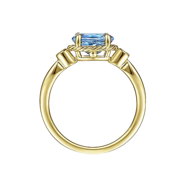The ALEJA Ring