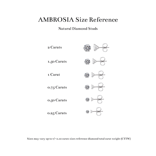 The AMBROSIA Stud Earrings
