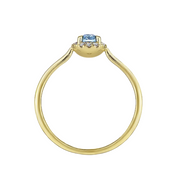 The AUBREY Ring