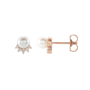 The CONTESSA Stud Earrings