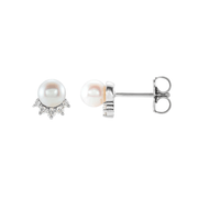 The CONTESSA Stud Earrings