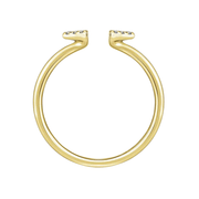 The DAPHNEE Ring