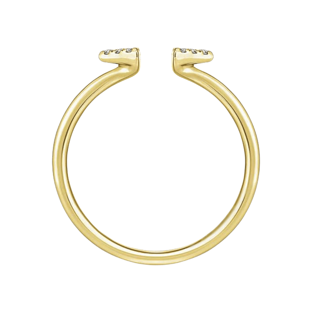 The DAPHNEE Ring
