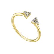 The DAPHNEE Ring