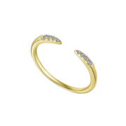 The DEMI Ring