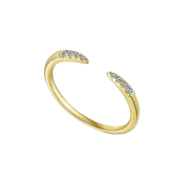 The DEMI Ring