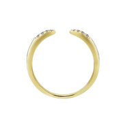 The DEMI Ring