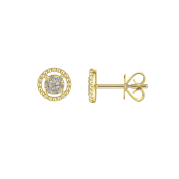The DRISKILL Stud Earrings