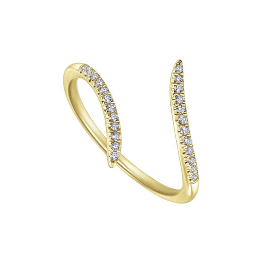 The DIVI Ring