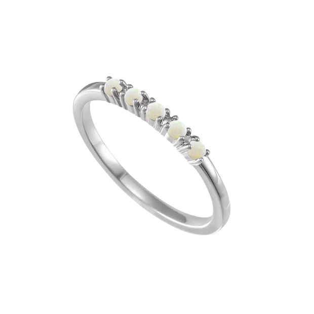 The HOLLY Ring