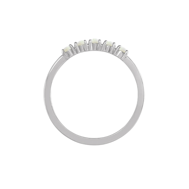 The HOLLY Ring
