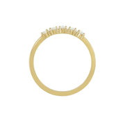 The HOLLY Ring
