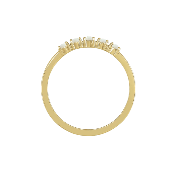 The HOLLY Ring