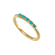 The HOLLY Ring