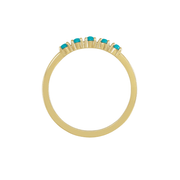 The HOLLY Ring