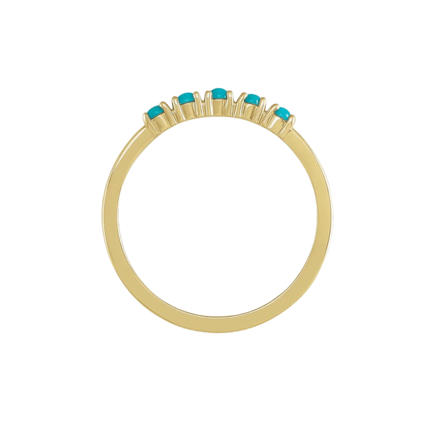 The HOLLY Ring