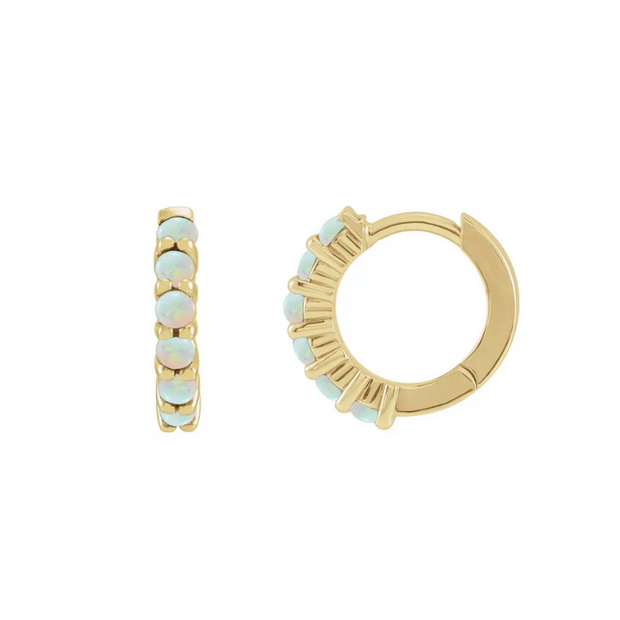 The JOPLYN Hoop Earrings