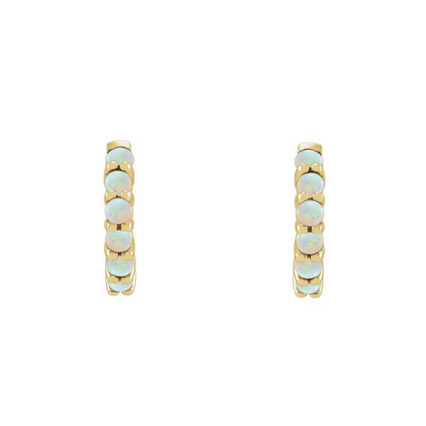 The JOPLYN Hoop Earrings