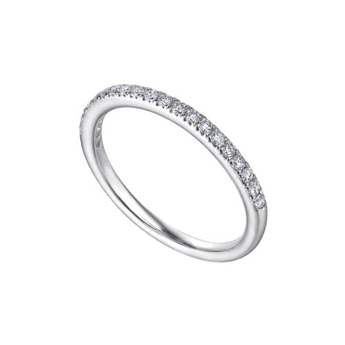 The RAINA Ring