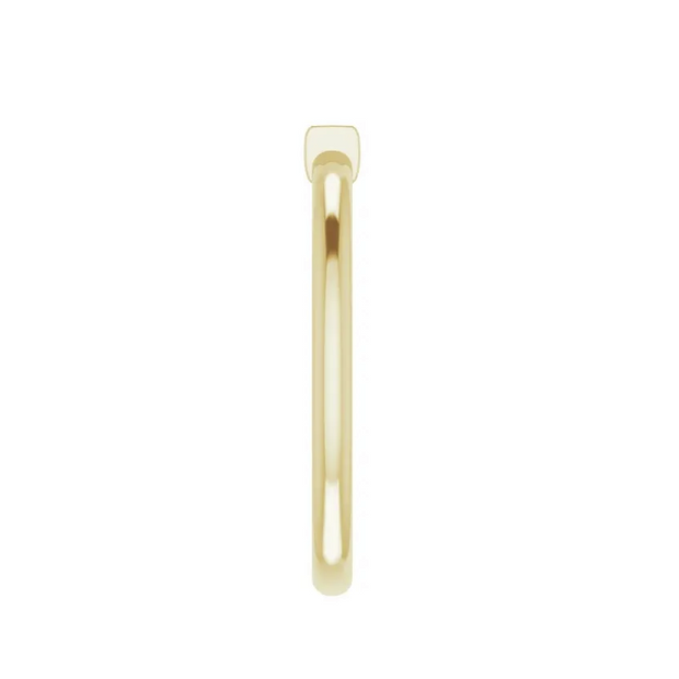 The RENNA Ring
