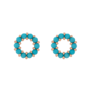 The ROBYN Earrings