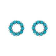 The ROBYN Earrings