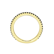 The SHILOH Ring