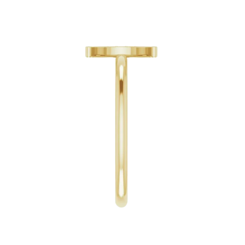 The SILVIE Ring
