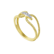 The STITCH Ring