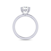 The TIA Ring