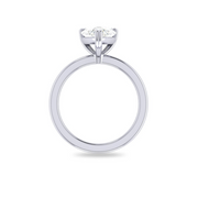 The TIA Ring