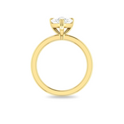 The TIA Ring