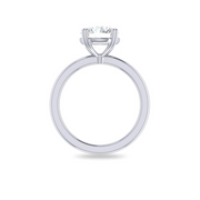 The TIA Ring
