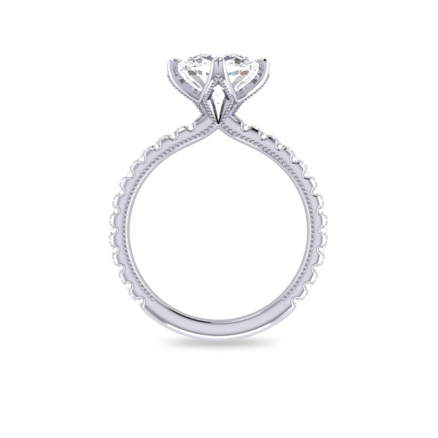 The VIV Ring