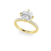 The VIV Ring
