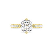 The VIV Ring