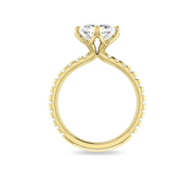 The VIV Ring
