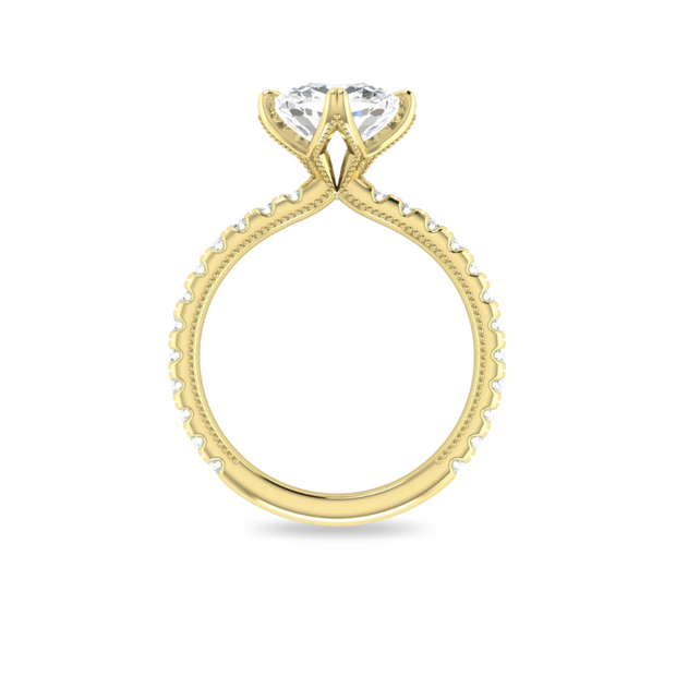 The VIV Ring